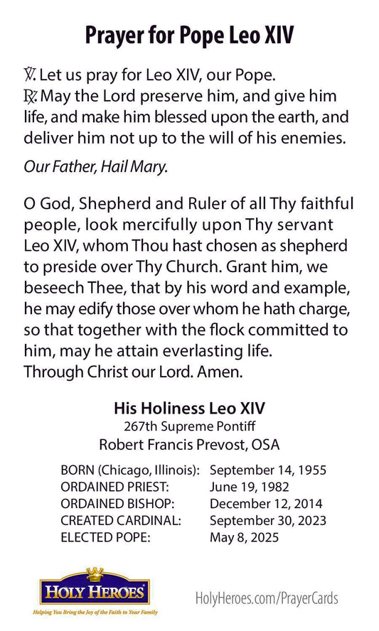 Pope Leo XIV prayer card (5-pack)