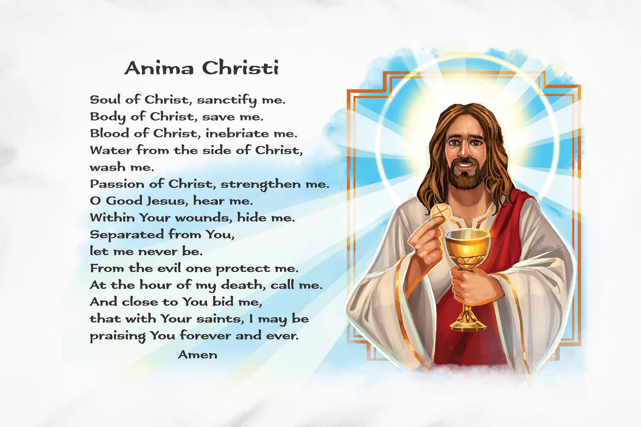 Prayer Pillowcase - Anima Christi