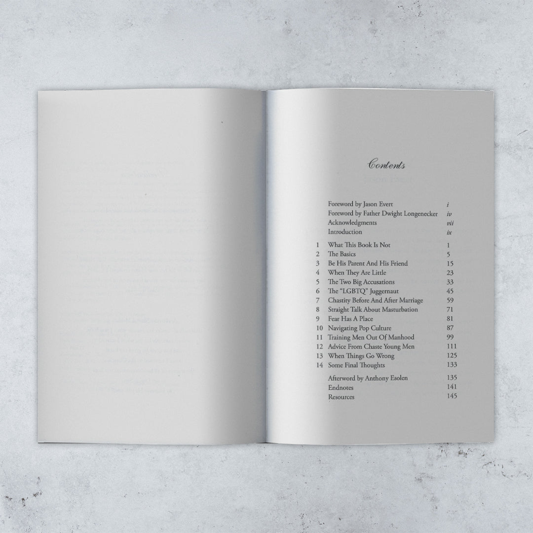 Raising Chaste Catholic Men - Expanded 2nd Edition - Holy Heroes
