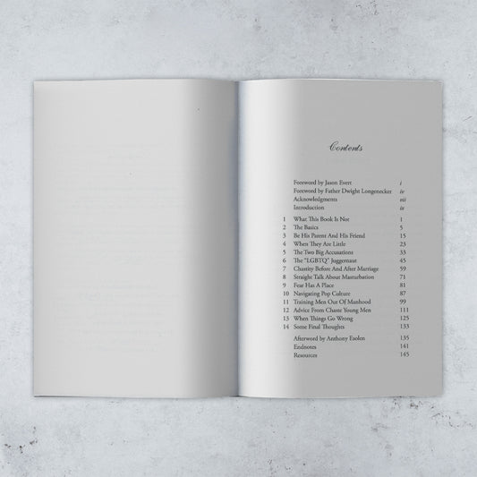 Raising Chaste Catholic Men - Expanded 2nd Edition - Holy Heroes