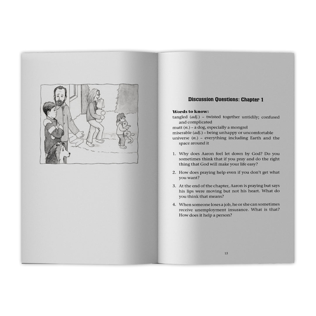 Dear God, I Don't Get It (2nd Edition) - Holy Heroes