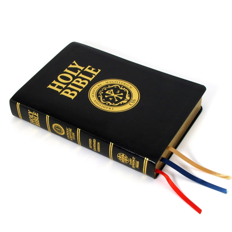 Official Catholic Scripture Study Bible - Holy Heroes