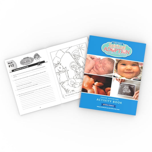 DAMAGED Spiritual Adoption Activity Book - Holy Heroes
