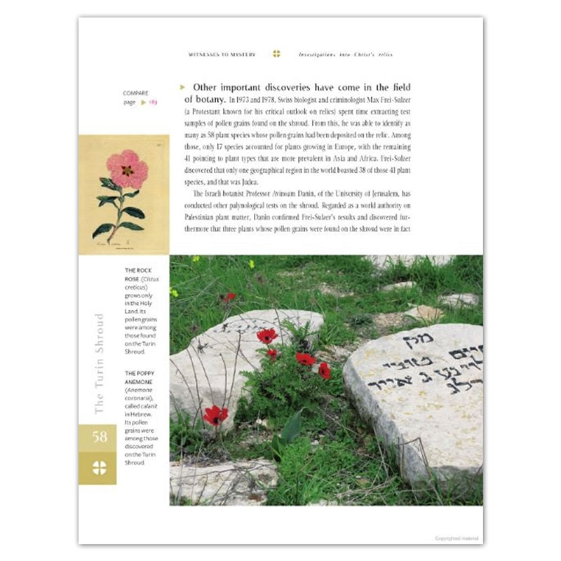 Witnesses to Mystery - Holy Heroes