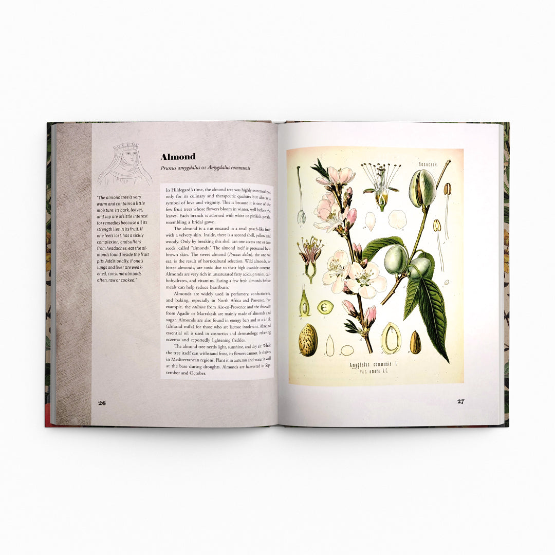 St. Hildegard’s Garden: Recipes and Remedies for Healing Body and Soul