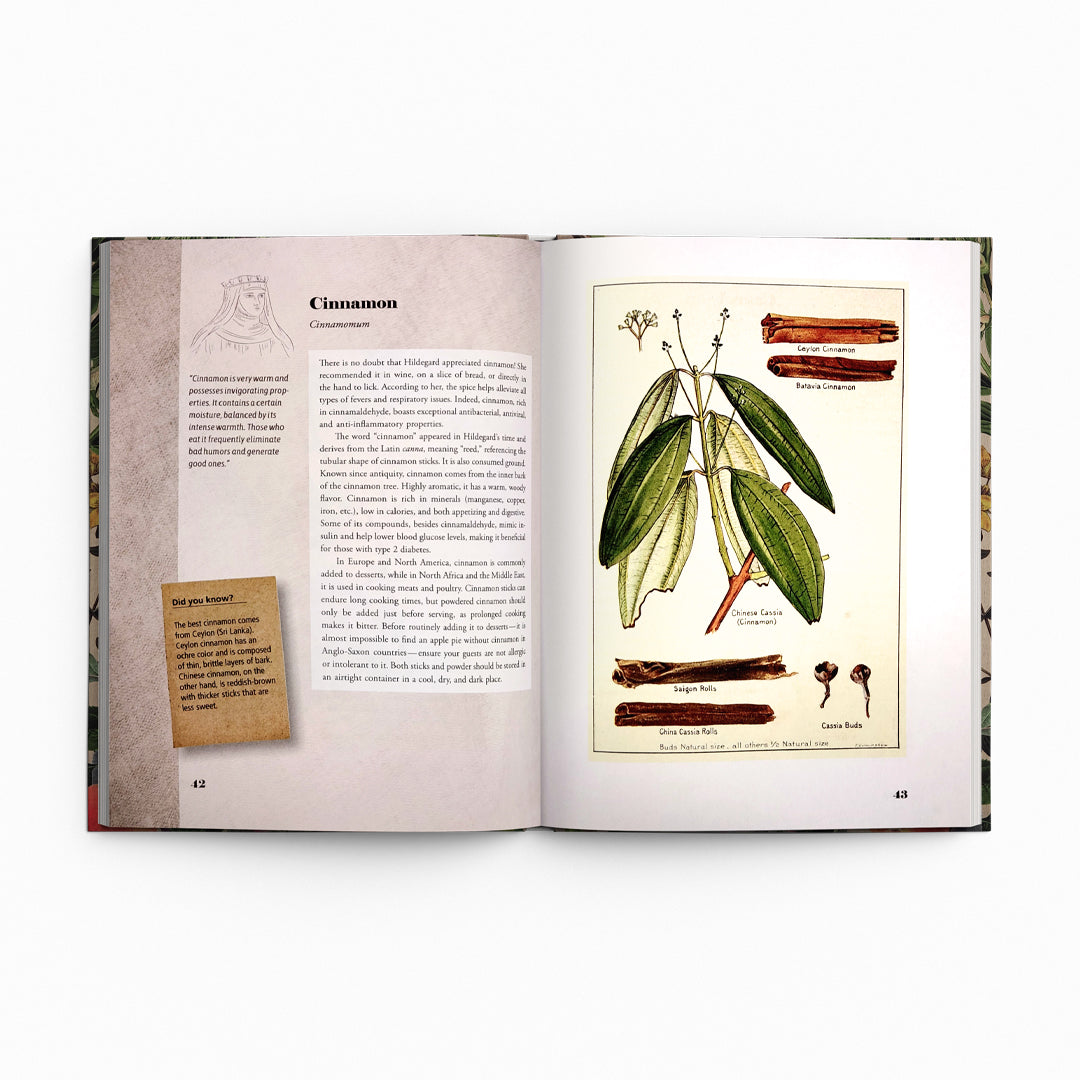 St. Hildegard’s Garden: Recipes and Remedies for Healing Body and Soul