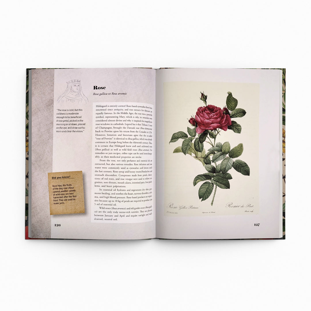 St. Hildegard’s Garden: Recipes and Remedies for Healing Body and Soul