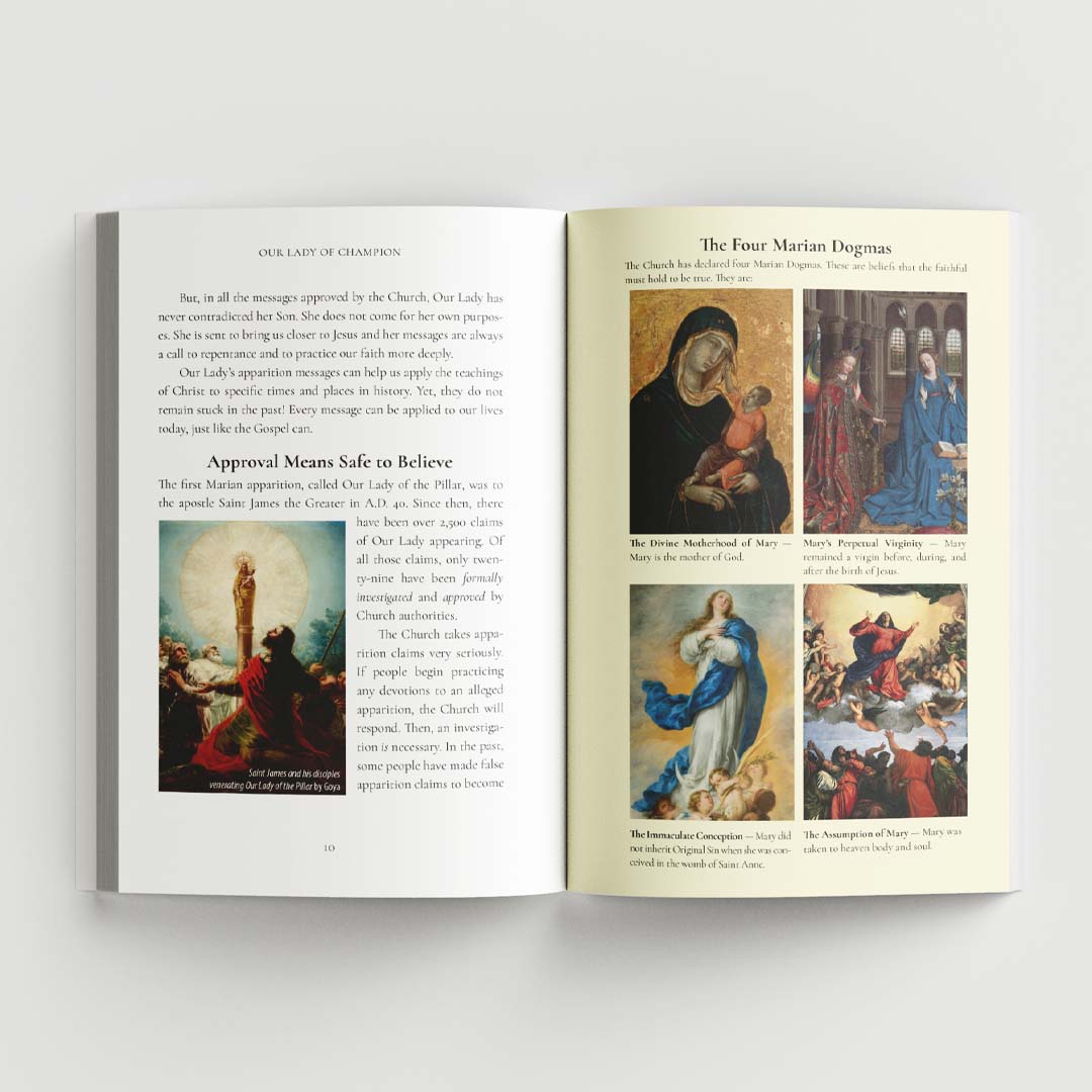 Our Lady of Champion: The Amazing Investigation of a Visitor from Heaven