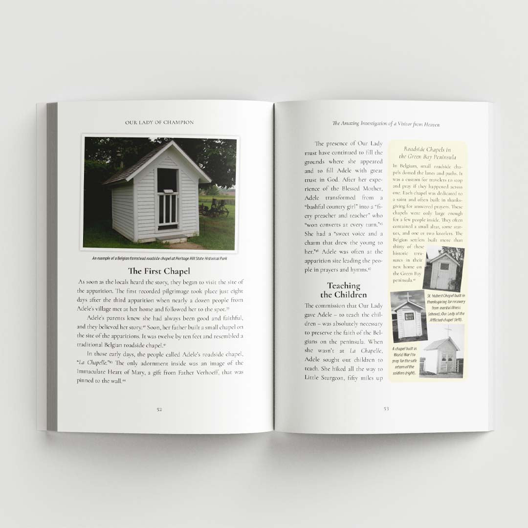 Our Lady of Champion: The Amazing Investigation of a Visitor from Heaven