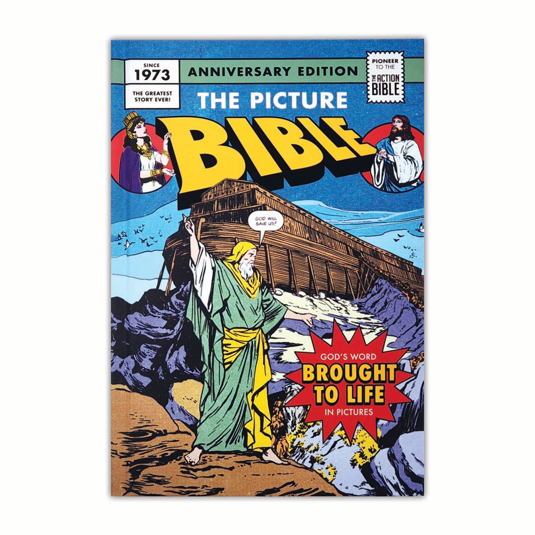 The Picture Bible - Hardcover