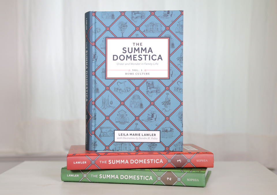 Summa Domestica: Order and Wonder in Family Life - Holy Heroes