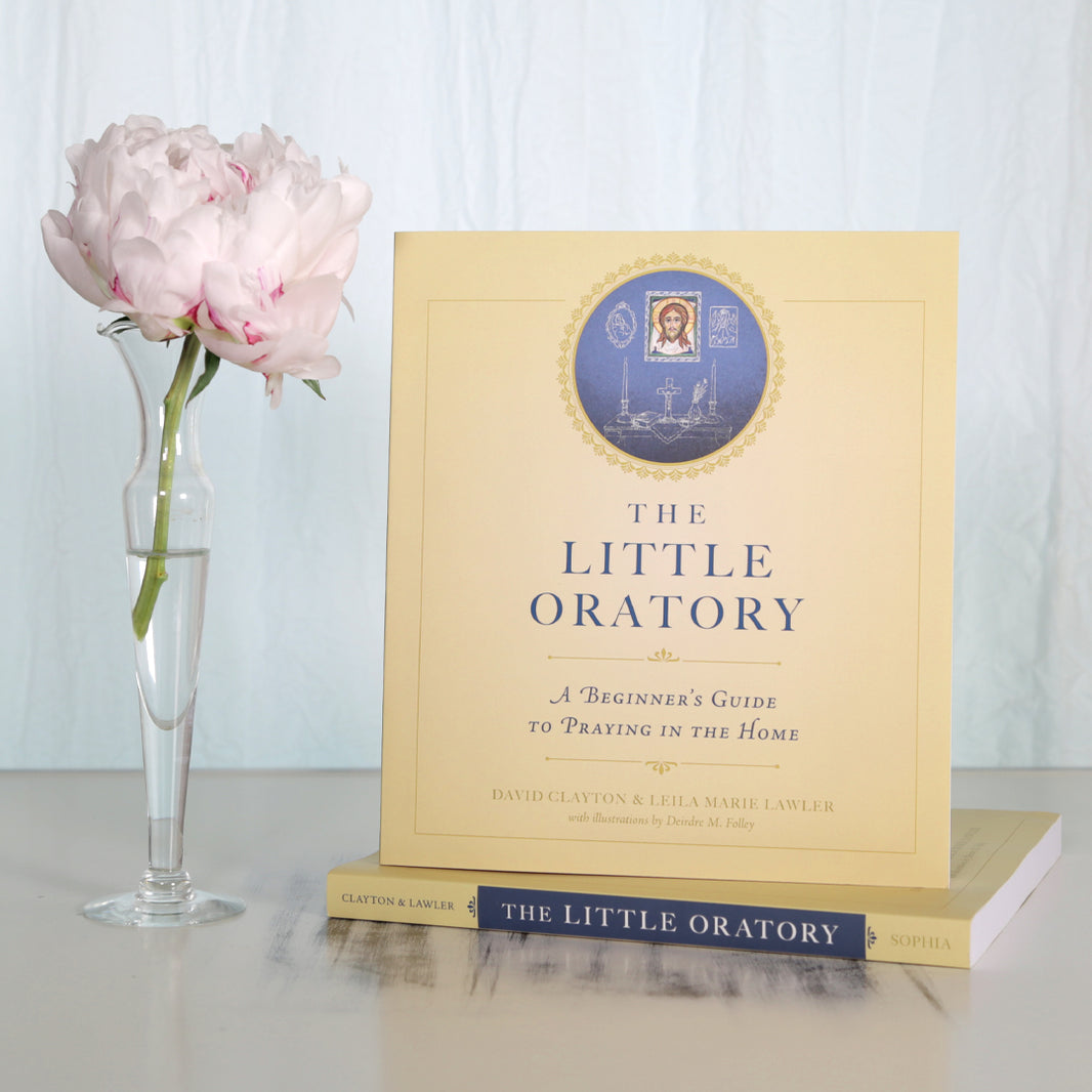 Catholic Parenting & Purity Resources – Holy Heroes