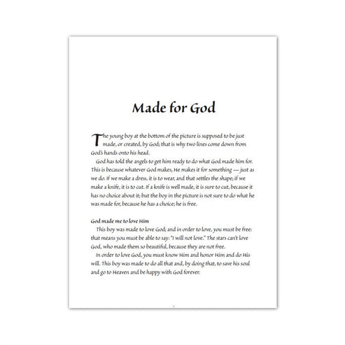 My Path to Heaven - A Young Person's Guide to the Catholic Faith – Holy ...