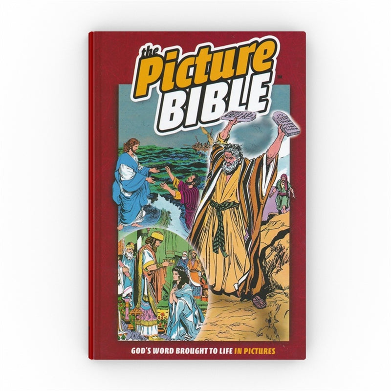 The Picture Bible - Hardcover - Holy Heroes