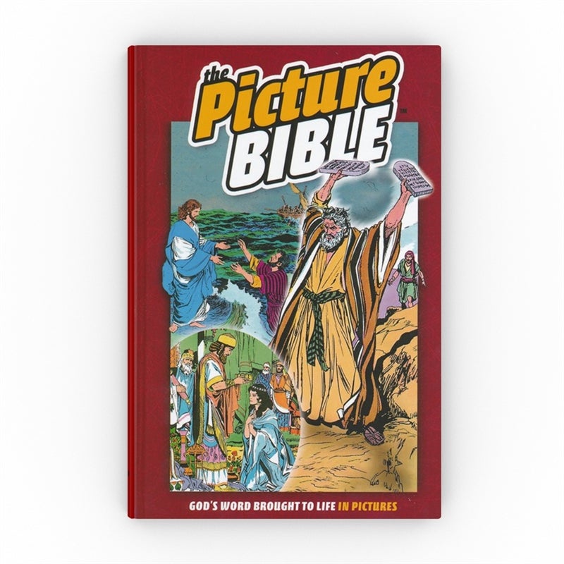 DAMAGED The Picture Bible - Hardcover - Holy Heroes