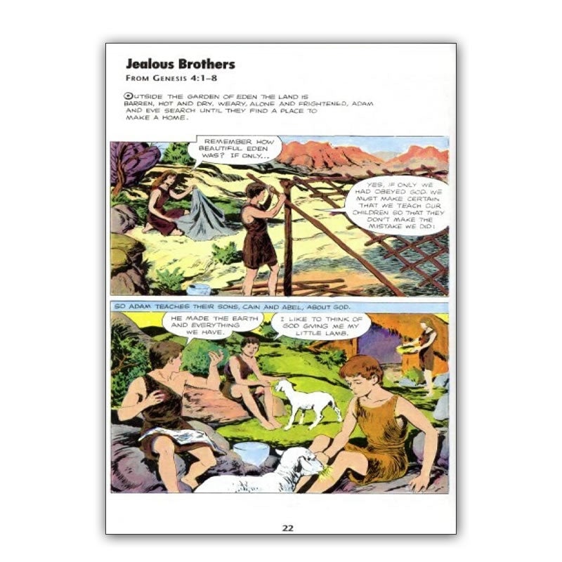 DAMAGED The Picture Bible - Hardcover - Holy Heroes