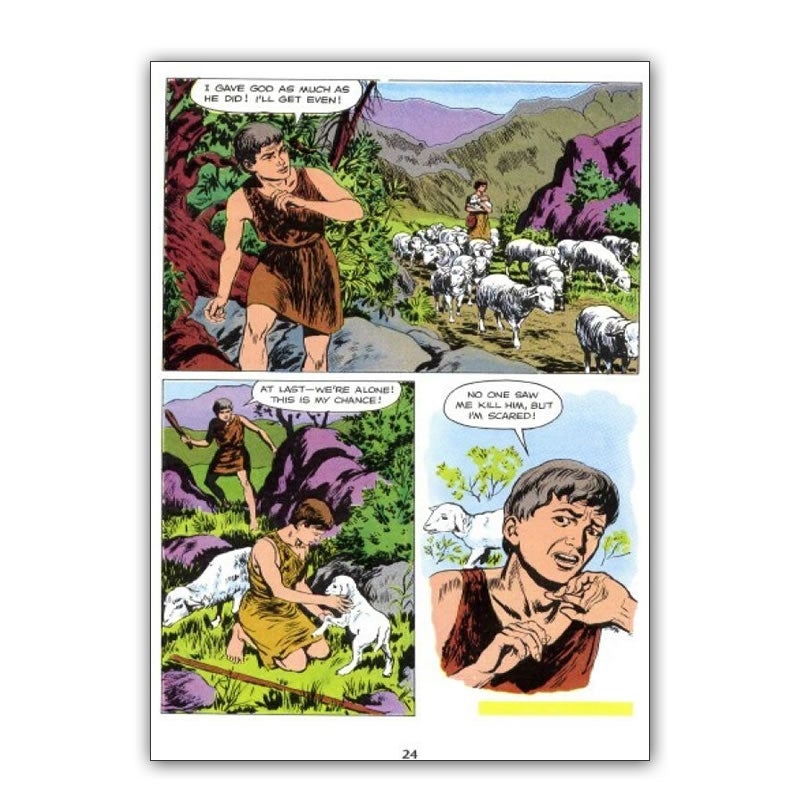 DAMAGED The Picture Bible - Hardcover - Holy Heroes